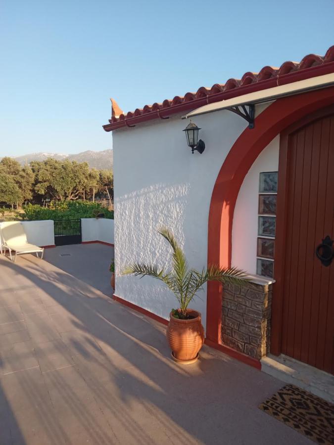 Villa Ampelia Sitia  Buitenkant foto