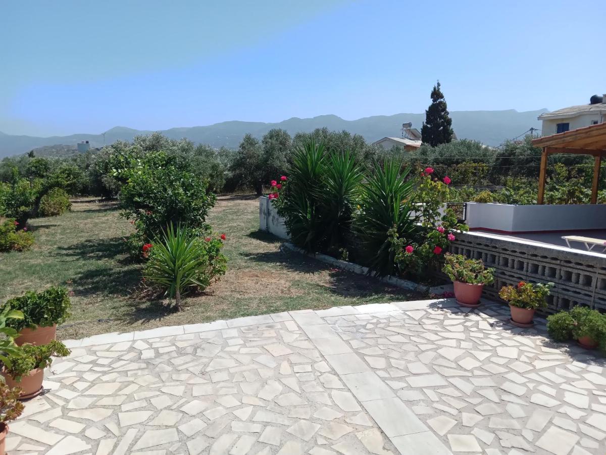Villa Ampelia Sitia  Buitenkant foto